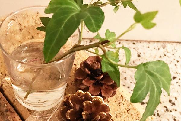 サロンの手作りインテリアのやり方【花と緑の装飾のコツ】