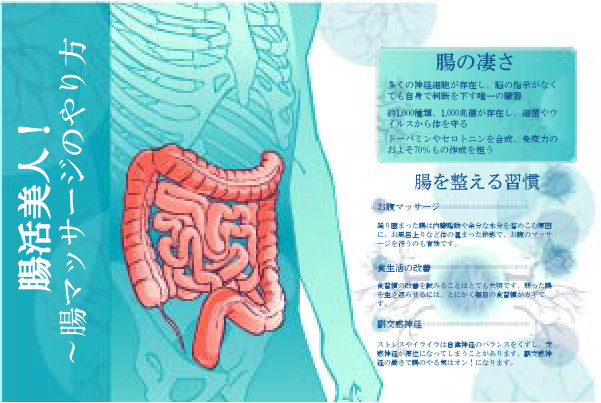 腸活美人 腸内環境を整えるための3つの習慣 腸マッサージのやり方